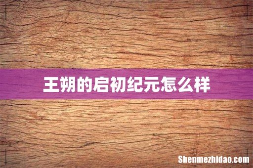 王朔的启初纪元怎么样