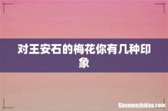 对王安石的梅花你有几种印象
