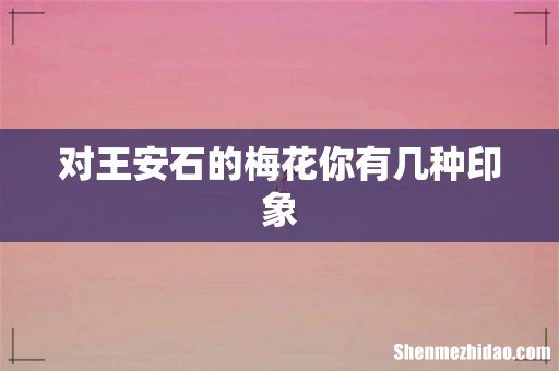 对王安石的梅花你有几种印象