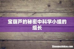 宝葫芦的秘密中科学小组的组长