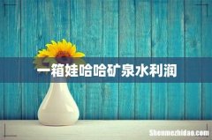 一箱娃哈哈矿泉水利润