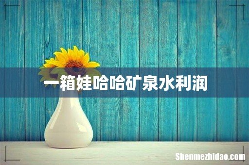 一箱娃哈哈矿泉水利润