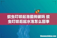 蚊虫叮咬起泡能挑破吗 蚊虫叮咬后起水泡怎么回事