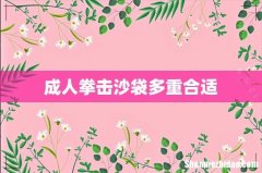 成人拳击沙袋多重合适