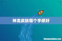 神龙皮肤哪个手感好