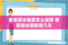 香菜放冰箱里怎么保鲜 香菜放冰箱能放几天