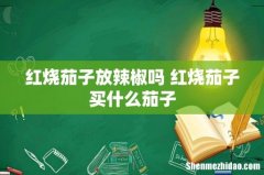 红烧茄子放辣椒吗 红烧茄子买什么茄子