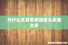为什么天翼看家摄像头杂音太多