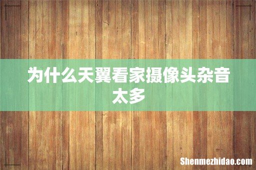 为什么天翼看家摄像头杂音太多