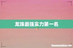 龙珠最强实力第一名