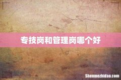 专技岗和管理岗哪个好