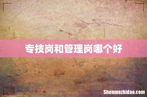 专技岗和管理岗哪个好