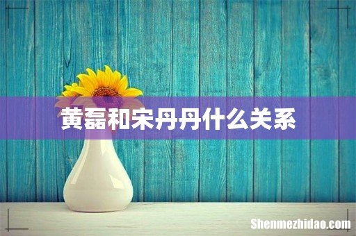 黄磊和宋丹丹什么关系