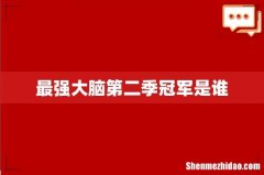 最强大脑第二季冠军是谁