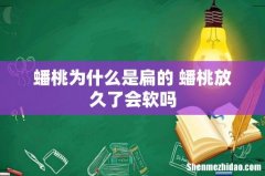 蟠桃为什么是扁的 蟠桃放久了会软吗
