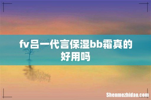 fv吕一代言保湿bb霜真的好用吗