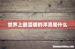 世界上最温暖的洋流是什么