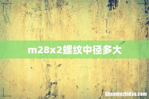 m28x2螺纹中径多大