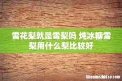 雪花梨就是雪梨吗 炖冰糖雪梨用什么梨比较好