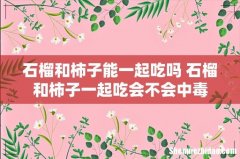 石榴和柿子能一起吃吗 石榴和柿子一起吃会不会中毒