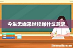 今生无缘来世续缘什么意思