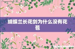 蝴蝶兰长花剑为什么没有花苞