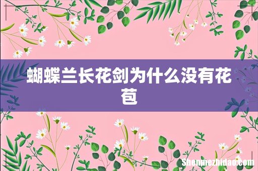 蝴蝶兰长花剑为什么没有花苞