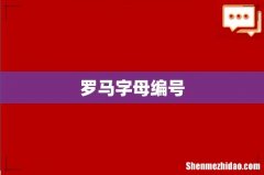 罗马字母编号
