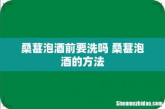 桑葚泡酒前要洗吗 桑葚泡酒的方法