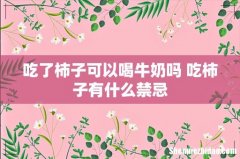 吃了柿子可以喝牛奶吗 吃柿子有什么禁忌