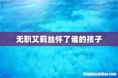 无职艾莉丝怀了谁的孩子