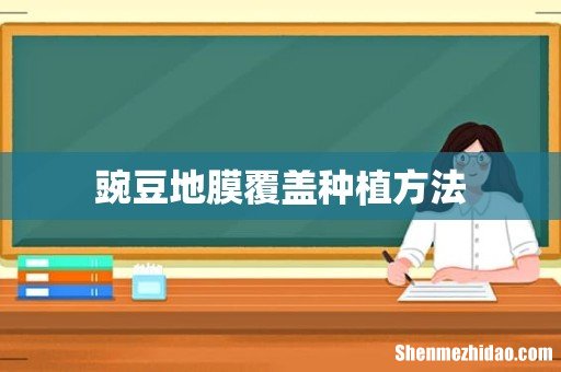 豌豆地膜覆盖种植方法