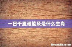 一日千里谁能及是什么生肖