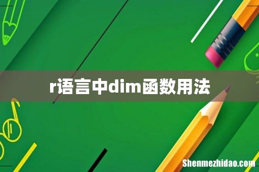 r语言中dim函数用法