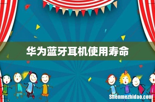 华为蓝牙耳机使用寿命