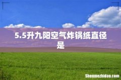 5.5升九阳空气炸锅纸直径是