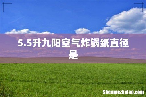 5.5升九阳空气炸锅纸直径是