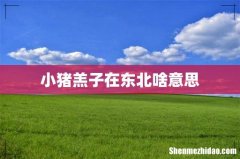 小猪羔子在东北啥意思