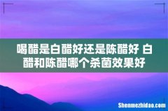 喝醋是白醋好还是陈醋好 白醋和陈醋哪个杀菌效果好