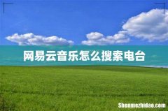 网易云音乐怎么搜索电台