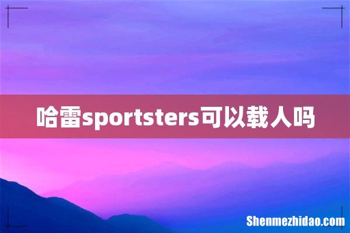 哈雷sportsters可以载人吗