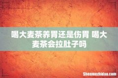 喝大麦茶养胃还是伤胃 喝大麦茶会拉肚子吗