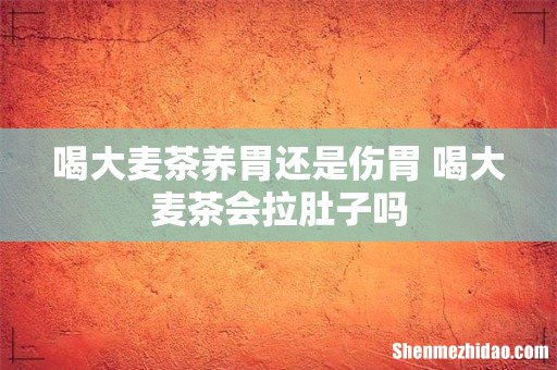 喝大麦茶养胃还是伤胃 喝大麦茶会拉肚子吗