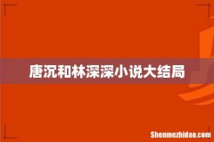 唐沉和林深深小说大结局