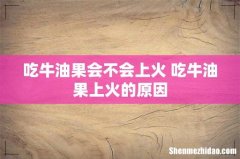 吃牛油果会不会上火 吃牛油果上火的原因