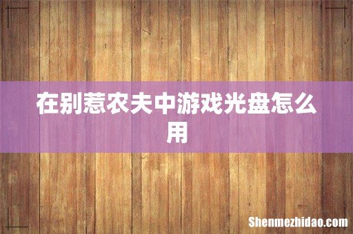 在别惹农夫中游戏光盘怎么用