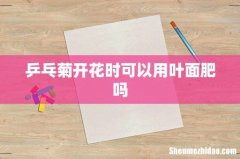 乒乓菊开花时可以用叶面肥吗