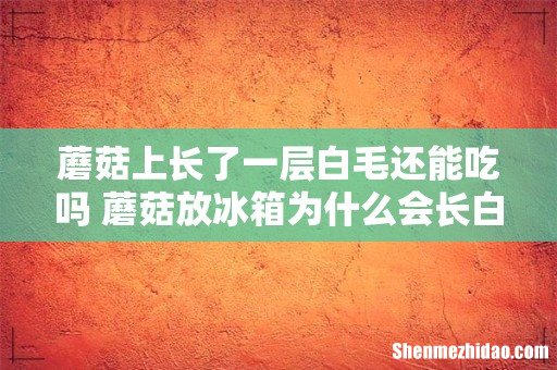 蘑菇上长了一层白毛还能吃吗 蘑菇放冰箱为什么会长白毛