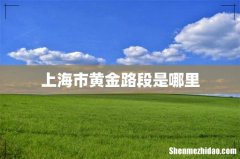 上海市黄金路段是哪里