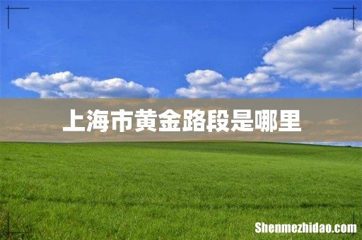上海市黄金路段是哪里